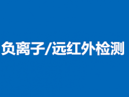 负离子/远红外检测